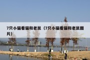 7只小猫看猫和老鼠（7只小猫看猫和老鼠图片）