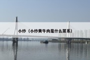 小炒（小炒黄牛肉是什么菜系）
