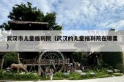 武汉市儿童福利院（武汉的儿童福利院在哪里）