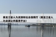 黑龙江省人力资源和社会保障厅（黑龙江省人力资源公共服务平台）