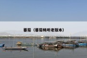 蕃茄（蕃茄畅听老版本）
