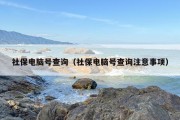 社保电脑号查询（社保电脑号查询注意事项）