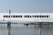 四喜丸子是哪四喜（四喜丸子四喜指哪四喜?）