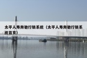 太平人寿奔驰行销系统（太平人寿奔驰行销系统首页）