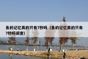 鱼的记忆真的只有7秒吗（鱼的记忆真的只有7秒吗调查）