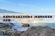 啤酒鸭的做法最正宗的做法（啤酒鸭的家常做法步骤）