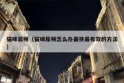 猫咪尿频（猫咪尿频怎么办最快最有效的方法）