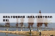 南煎丸子是哪里的菜（南煎丸子是哪个地方的菜系）