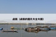 卤藕（卤藕的图片大全大图）