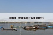 甜酸鱼（甜酸鱼用什么鱼做最好）