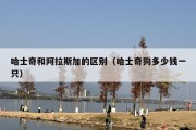 哈士奇和阿拉斯加的区别（哈士奇狗多少钱一只）