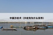 中国沙皮犬（沙皮狗为什么禁养）