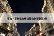 草狗（草狗吃狗粮还是吃剩饭剩菜好）