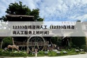 12333在线咨询人工（12333在线咨询人工服务上班时间）