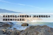 将冰葡萄放在小洞里榨果汁（将冰葡萄放在小洞里榨果汁什么意思）