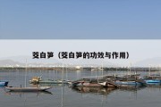 茭白笋（茭白笋的功效与作用）