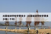川菜培训学校学费多少（川菜培训学校学费多少钱一个月）