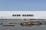 安庆宠物（安庆宠物店）
