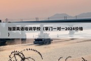加盟英语培训学校（掌门一对一2024价格）