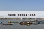 投资招商（投资招商是什么意思）