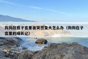 狗狗放我子宫里面突然变大怎么办（狗狗在子宫里的成长记）