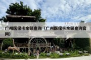 广州医保卡余额查询（广州医保卡余额查询官网）