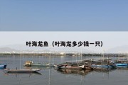 叶海龙鱼（叶海龙多少钱一只）