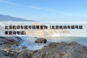 北京机动车摇号结果查询（北京机动车摇号结果查询电话）