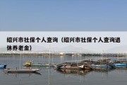 绍兴市社保个人查询（绍兴市社保个人查询退休养老金）