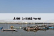太妃糖（太妃糖是什么糖）