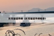 折耳猫遗传病（折耳猫遗传病概率）