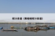 榨汁食谱（黄晓明榨汁食谱）