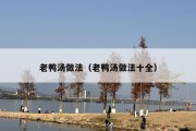 老鸭汤做法（老鸭汤做法十全）
