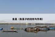 鱼虱（鱼虱子的功效与作用）