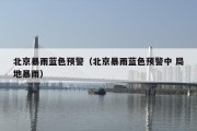 北京暴雨蓝色预警（北京暴雨蓝色预警中 局地暴雨）