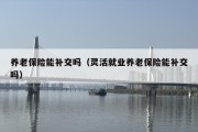 养老保险能补交吗（灵活就业养老保险能补交吗）