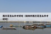西兰花怎么炒才好吃（烧肉炒西兰花怎么炒才好吃）