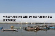 中央天气预报卫星云图（中央天气预报卫星云图天气实况）