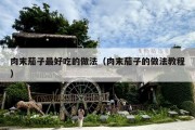 肉末茄子最好吃的做法（肉末茄子的做法教程）