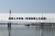 劲草人才市场（天津劲草人力资源）