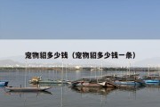 宠物貂多少钱（宠物貂多少钱一条）