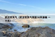 武汉市天气（武汉市天气预报30天准确 一个月）