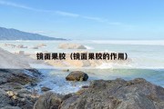 镜面果胶（镜面果胶的作用）