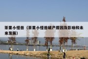 茶里小怪兽（茶里小怪兽破产原因及影响和未来发展）