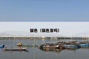 猫色（猫色盲吗）