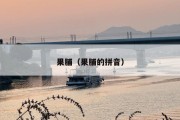 果脯（果脯的拼音）