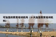 可加盟的教育培训机构（十大加盟教育培训机构）