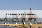 吉利远景论坛（吉利新远景论坛交流）