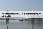 汽车保险哪些必须买（汽车保险哪些必须买一共多少钱）