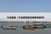 今日咸阳（今日咸阳到沈阳航班查询）